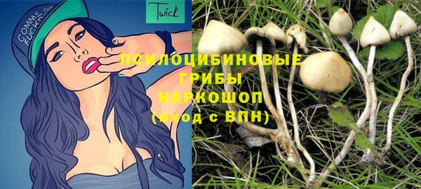 гидра Беломорск